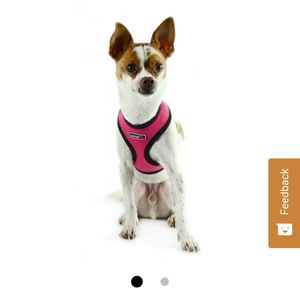Jump pet harness.  Xxs